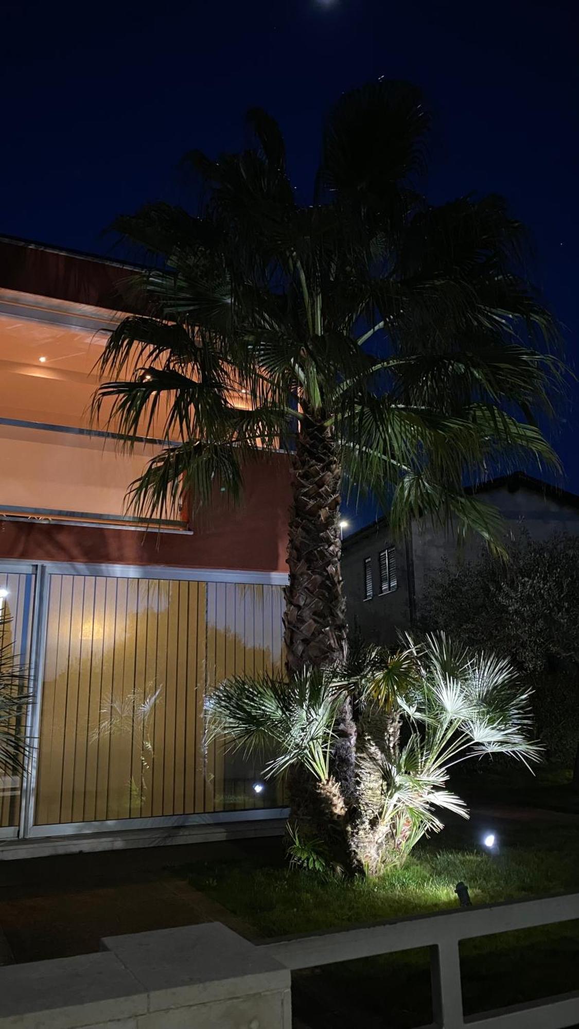 Ivni Apartmani Novigrad Istria 外观 照片