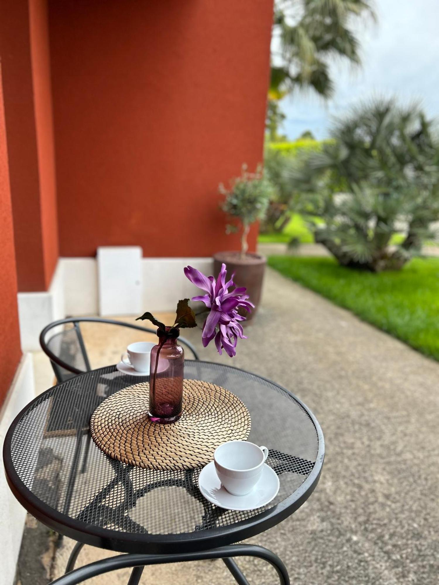 Ivni Apartmani Novigrad Istria 外观 照片